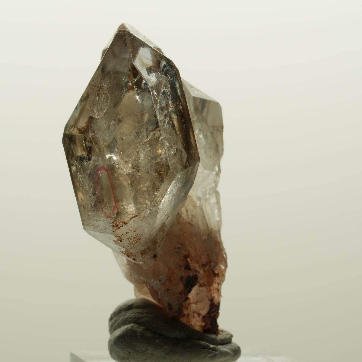 Enhydro Phantom Rauchquarz Skelett DT Zepter, 1x Blase Goboboseb, Namibia 48*37*22mm #15030