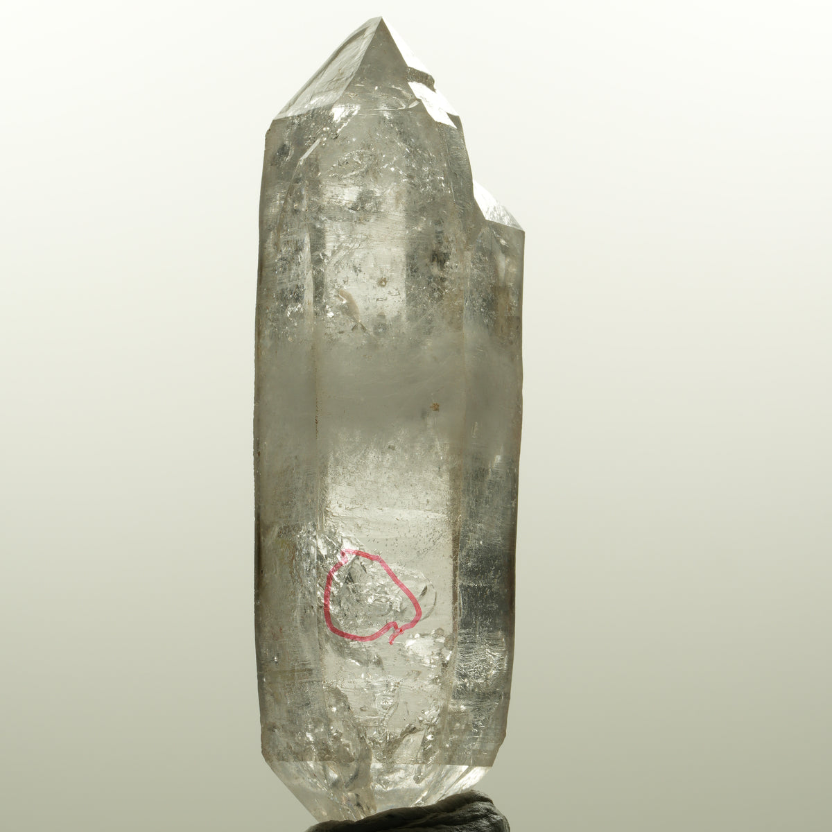 Enhydro Skelett Rauchquarz Doppelender, 1x Blase Goboboseb, Namibia 78*24*21mm #15044