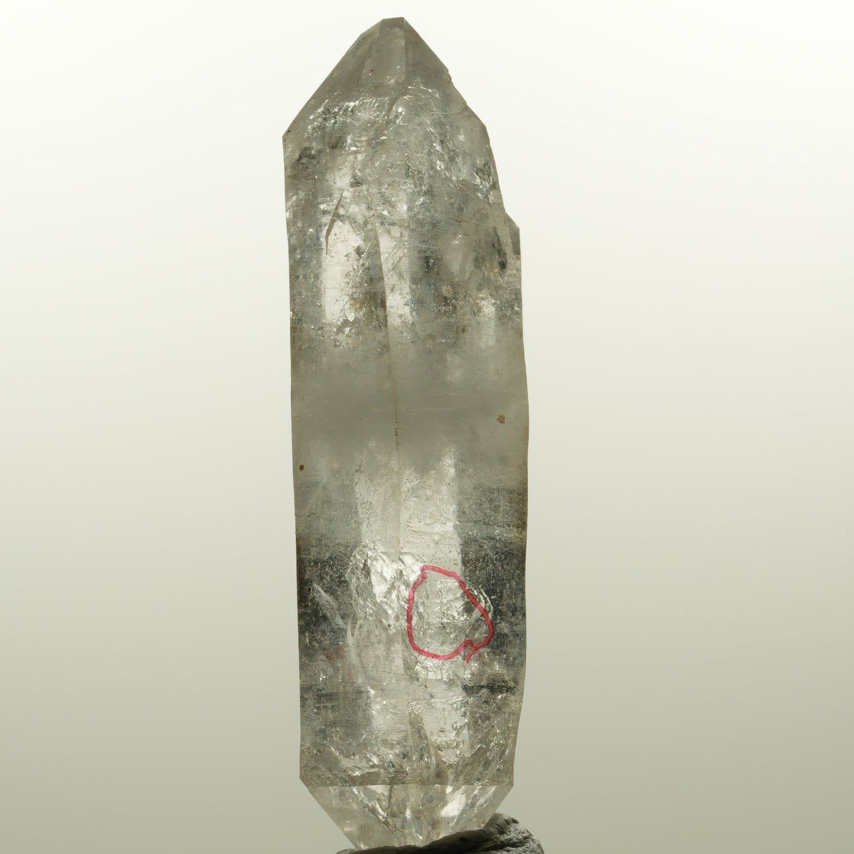 Enhydro Skelett Rauchquarz Doppelender, 1x Blase Goboboseb, Namibia 78*24*21mm #15044