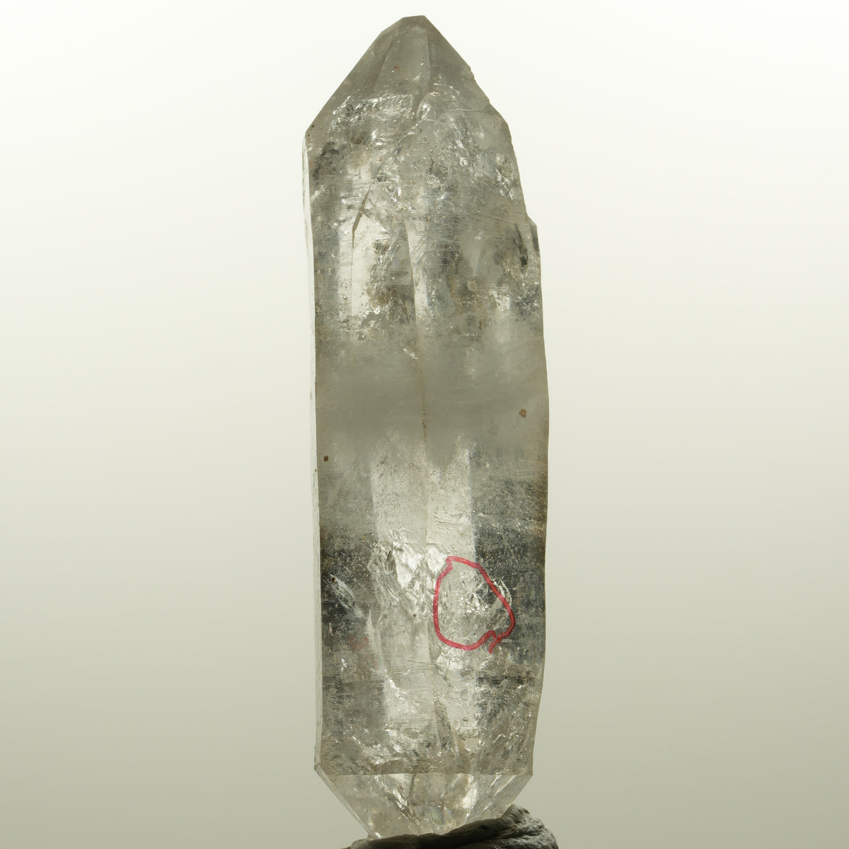 Enhydro Skelett Rauchquarz Doppelender, 1x Blase Goboboseb, Namibia 78*24*21mm #15044