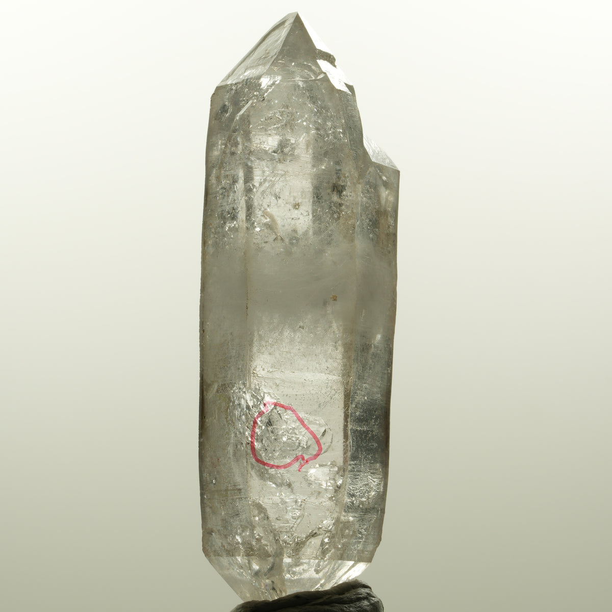 Enhydro Skelett Rauchquarz Doppelender, 1x Blase Goboboseb, Namibia 78*24*21mm #15044
