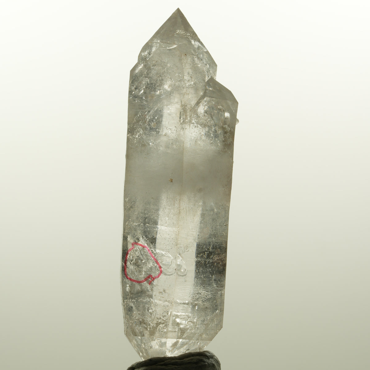 Enhydro Skelett Rauchquarz Doppelender, 1x Blase Goboboseb, Namibia 78*24*21mm #15044