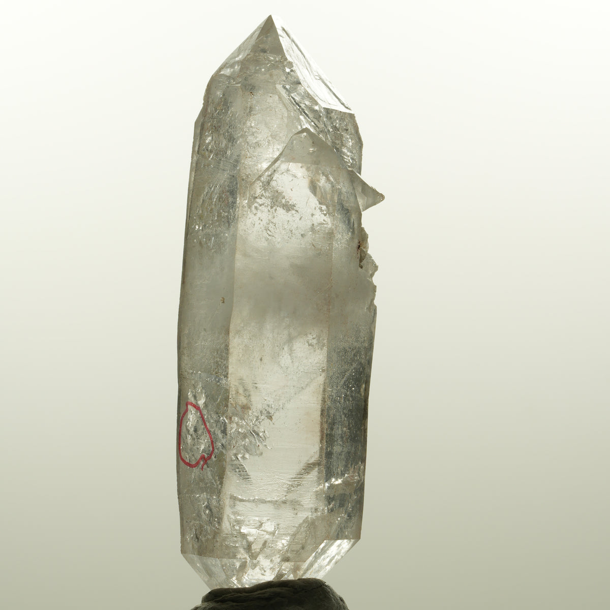 Enhydro Skelett Rauchquarz Doppelender, 1x Blase Goboboseb, Namibia 78*24*21mm #15044