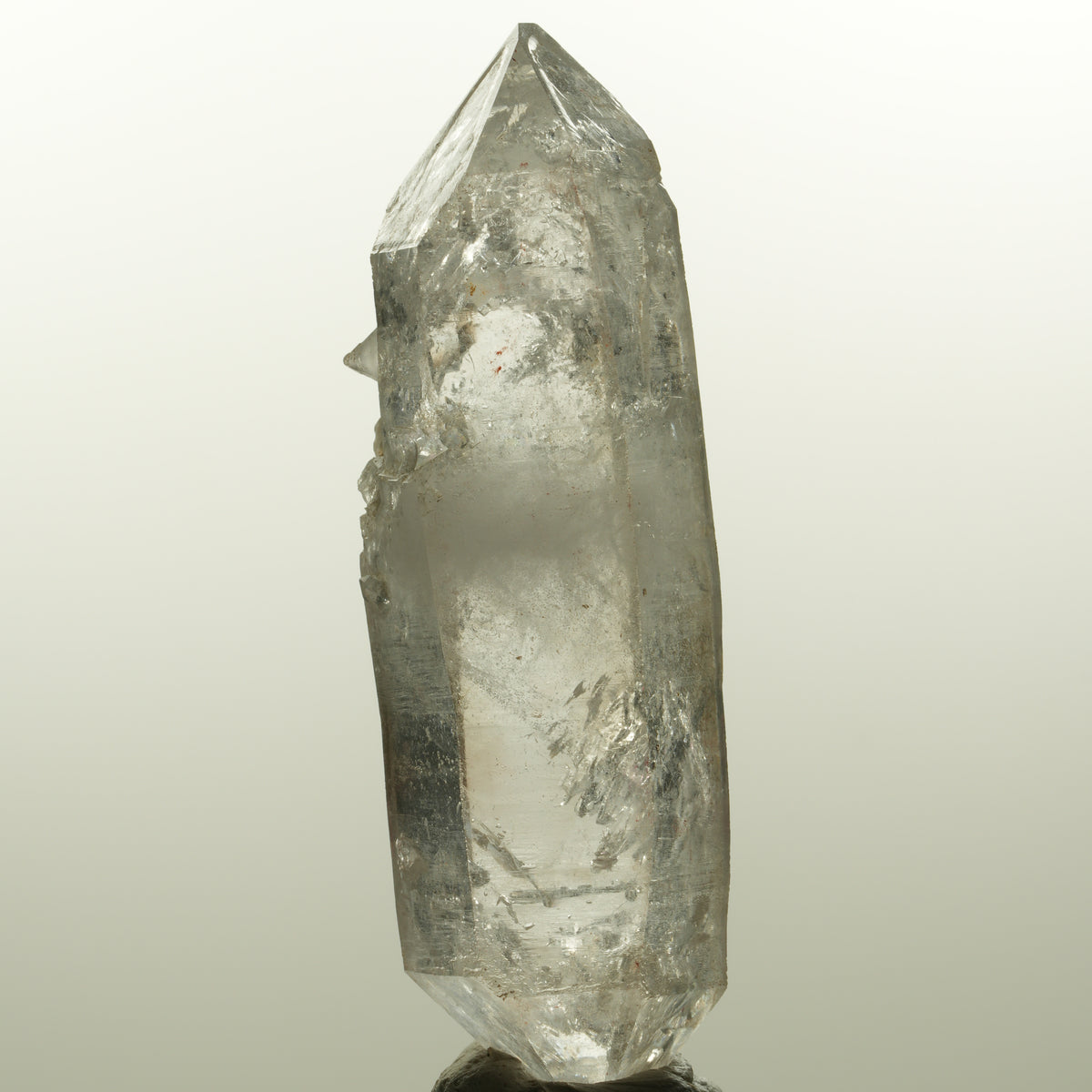 Enhydro Skelett Rauchquarz Doppelender, 1x Blase Goboboseb, Namibia 78*24*21mm #15044