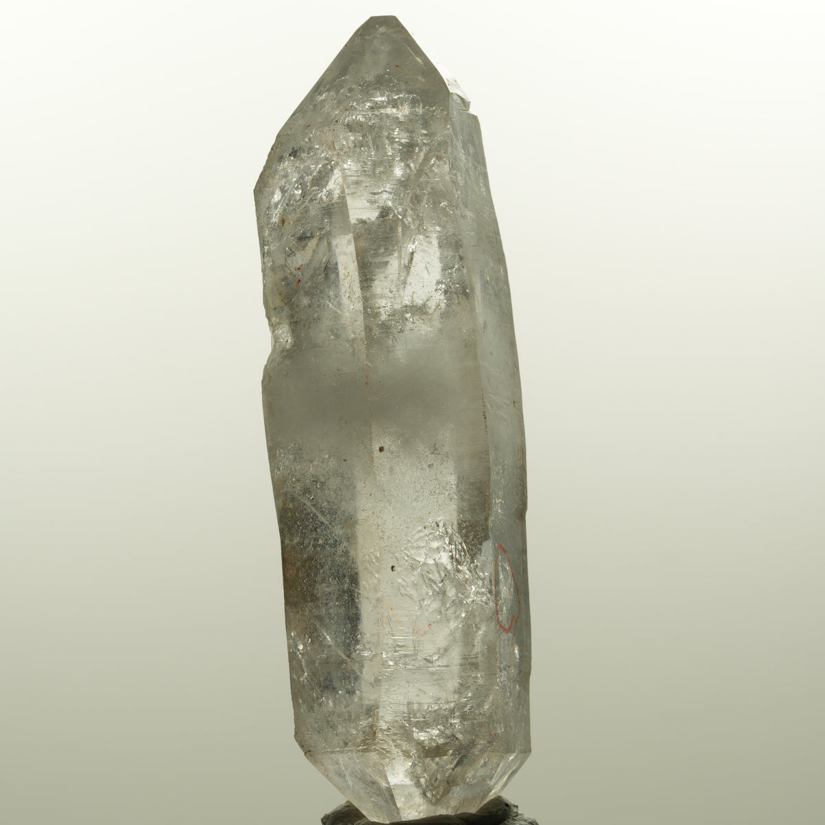 Enhydro Skelett Rauchquarz Doppelender, 1x Blase Goboboseb, Namibia 78*24*21mm #15044