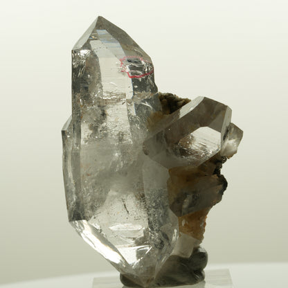 Enhydro Phantom Rauchquarz Skelett Doppelender, 1x Blase Goboboseb, Namibia 58*38*33mm #15046