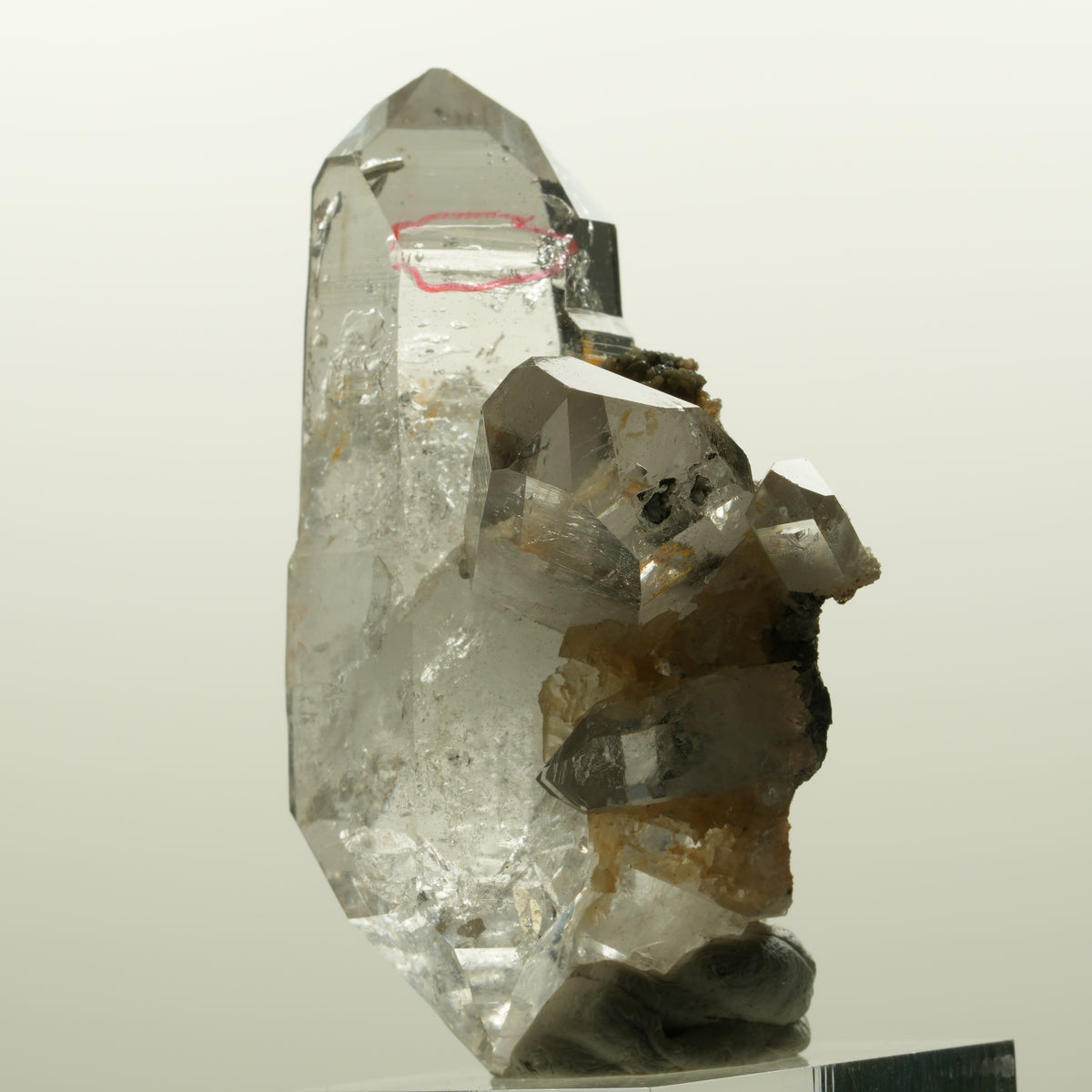 Enhydro Phantom Rauchquarz Skelett Doppelender, 1x Blase Goboboseb, Namibia 58*38*33mm #15046