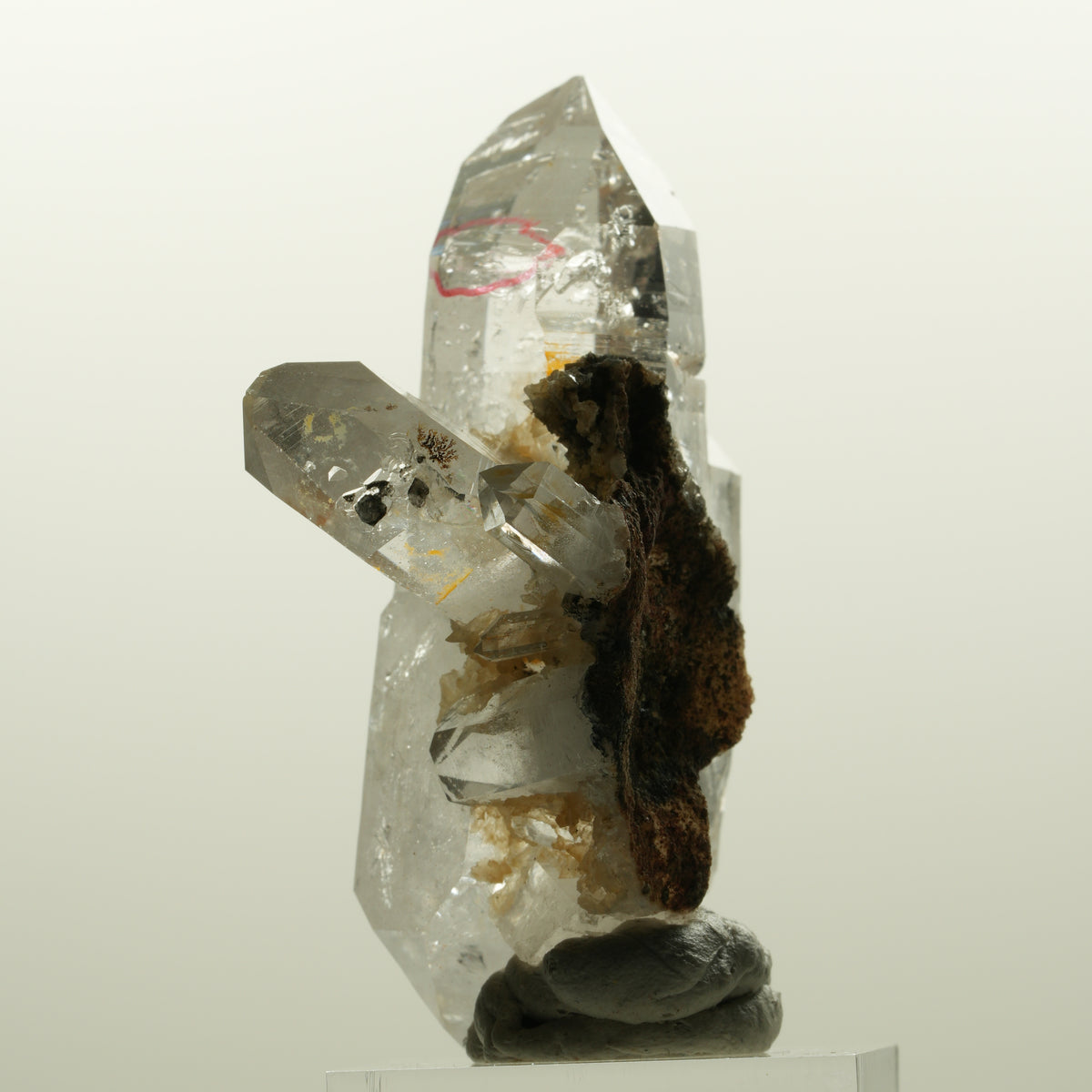 Enhydro Phantom Rauchquarz Skelett Doppelender, 1x Blase Goboboseb, Namibia 58*38*33mm #15046