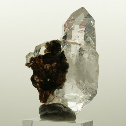Enhydro Phantom Rauchquarz Skelett Doppelender, 1x Blase Goboboseb, Namibia 58*38*33mm #15046