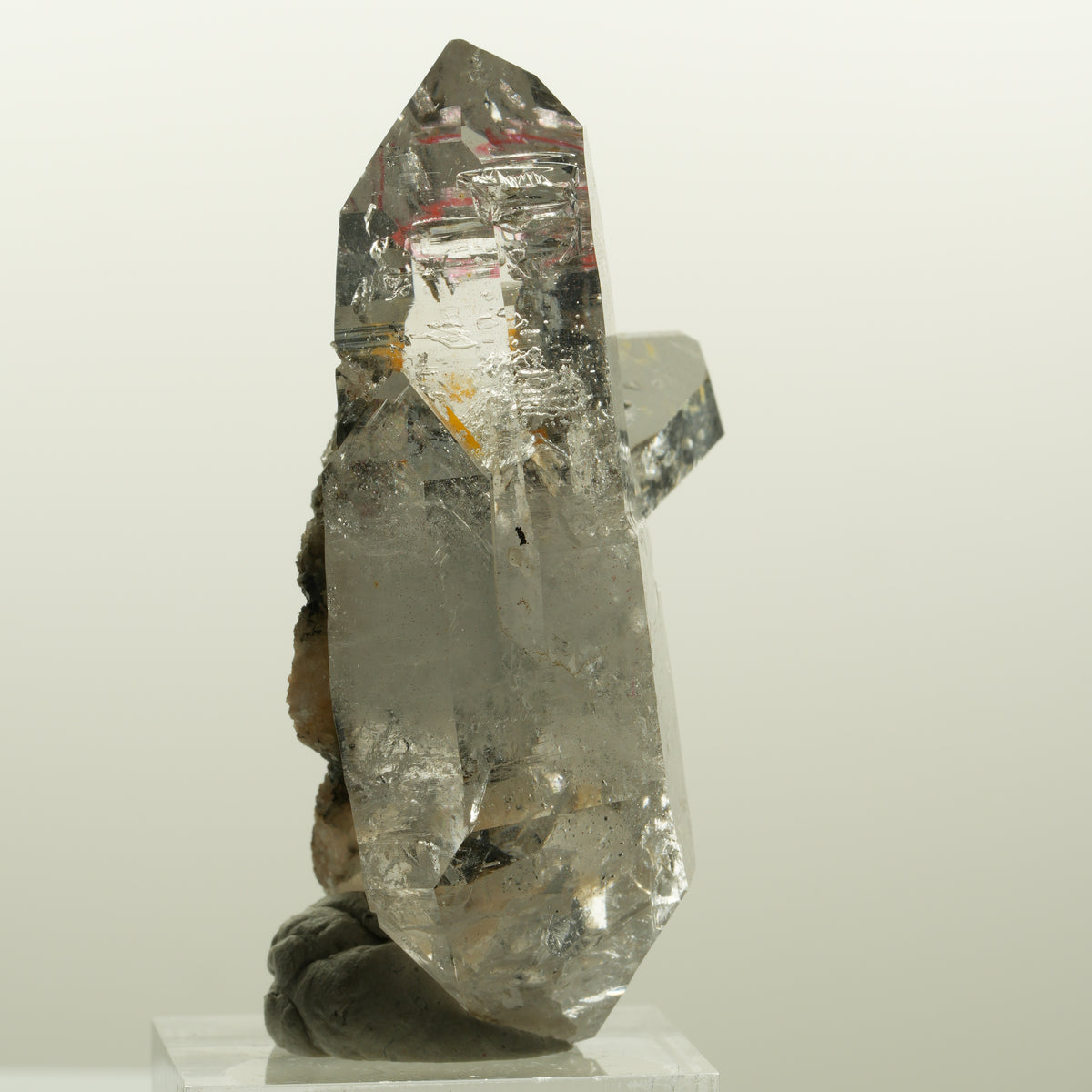 Enhydro Phantom Rauchquarz Skelett Doppelender, 1x Blase Goboboseb, Namibia 58*38*33mm #15046