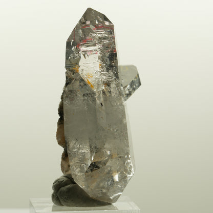 Enhydro Phantom Rauchquarz Skelett Doppelender, 1x Blase Goboboseb, Namibia 58*38*33mm #15046