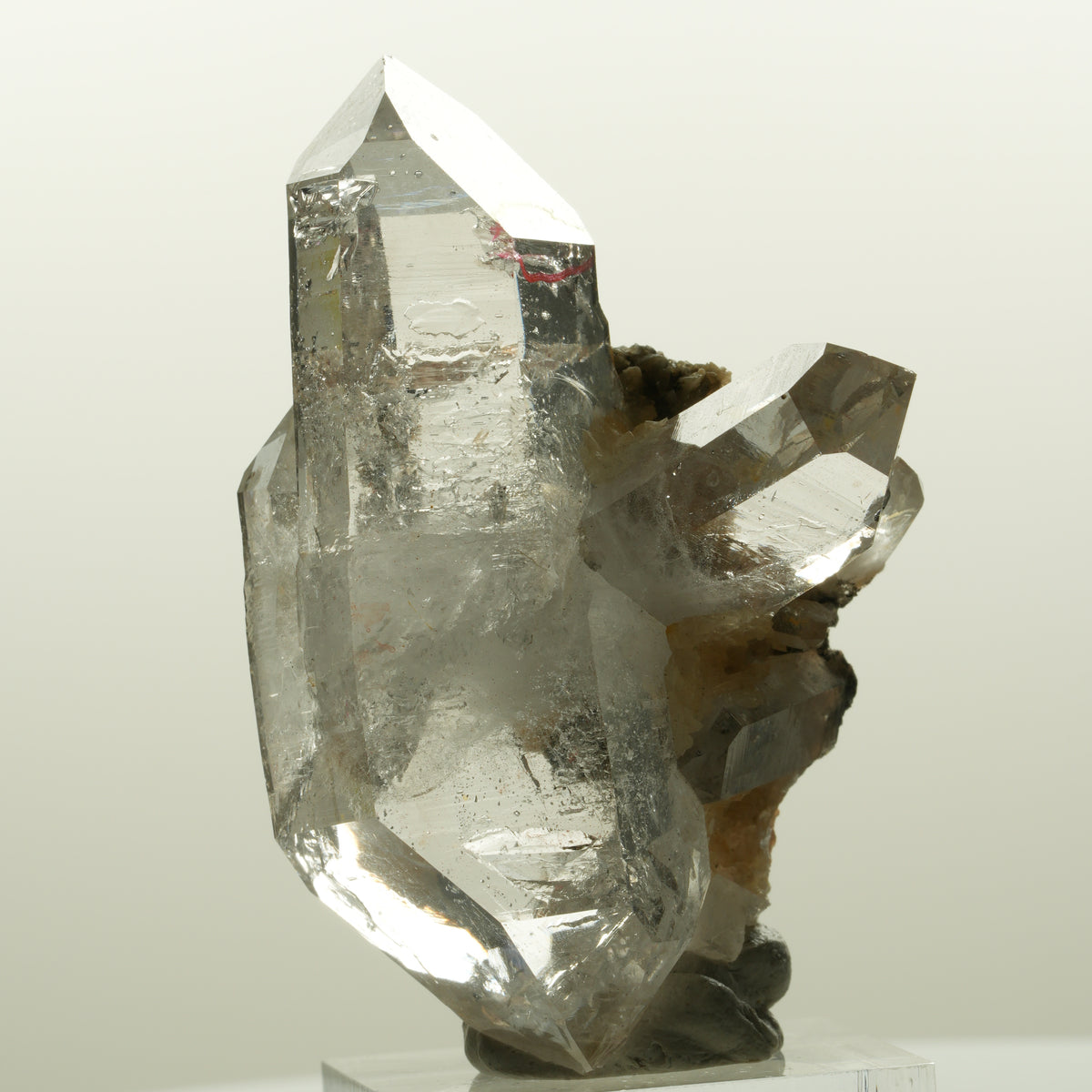 Enhydro Phantom Rauchquarz Skelett Doppelender, 1x Blase Goboboseb, Namibia 58*38*33mm #15046