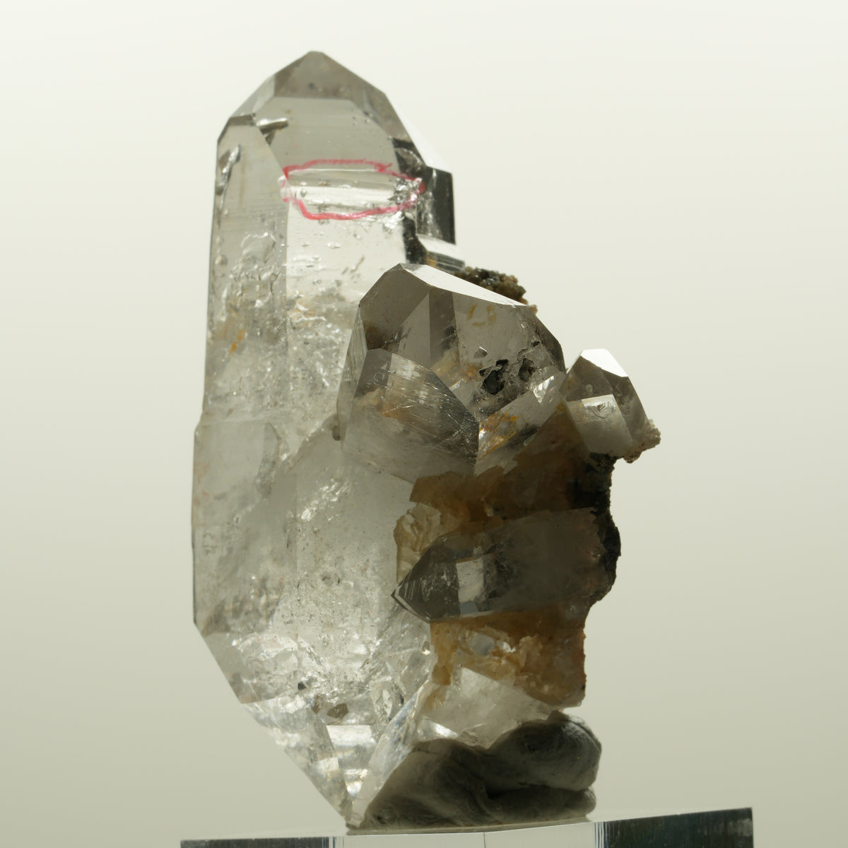 Enhydro Phantom Rauchquarz Skelett Doppelender, 1x Blase Goboboseb, Namibia 58*38*33mm #15046