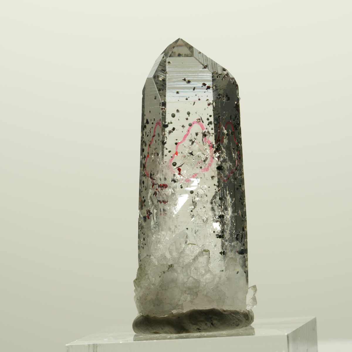 Enhydro Harlekin Lemurian Rauchquarz, 1x Blase Streep Mine, Namibia 40*16*13mm #15072