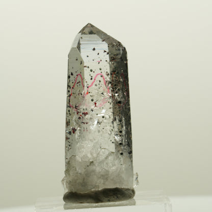 Enhydro Harlekin Lemurian Rauchquarz, 1x Blase Streep Mine, Namibia 40*16*13mm #15072
