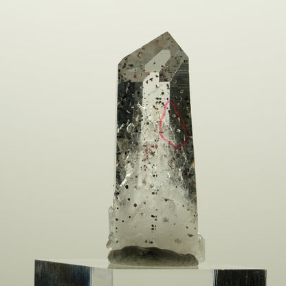 Enhydro Harlekin Lemurian Rauchquarz, 1x Blase Streep Mine, Namibia 40*16*13mm #15072