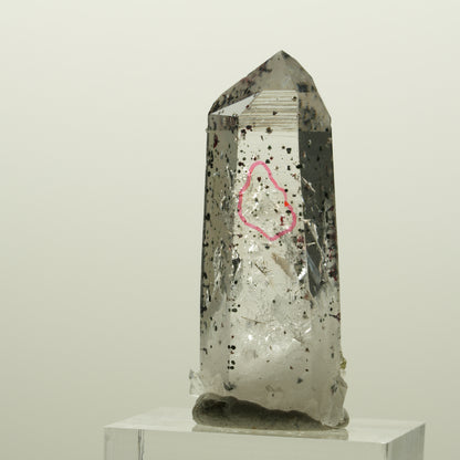 Enhydro Harlekin Lemurian Rauchquarz, 1x Blase Streep Mine, Namibia 40*16*13mm #15072