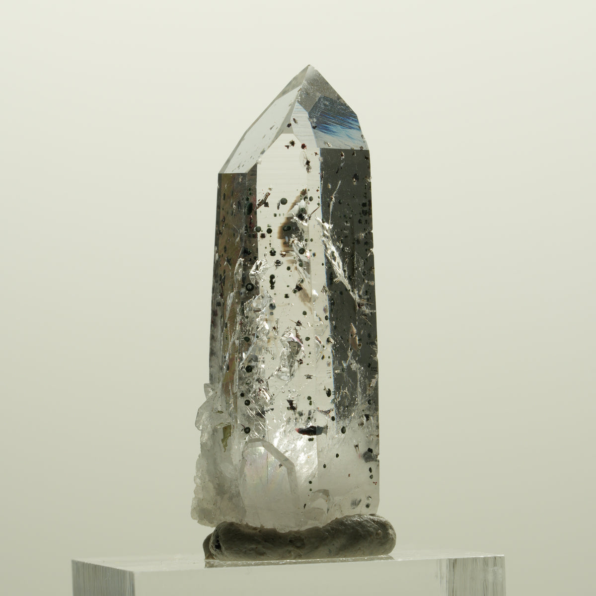 Enhydro Harlekin Lemurian Rauchquarz, 1x Blase Streep Mine, Namibia 40*16*13mm #15072