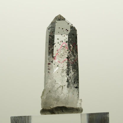 Enhydro Harlekin Lemurian Rauchquarz, 1x Blase Streep Mine, Namibia 40*16*13mm #15072