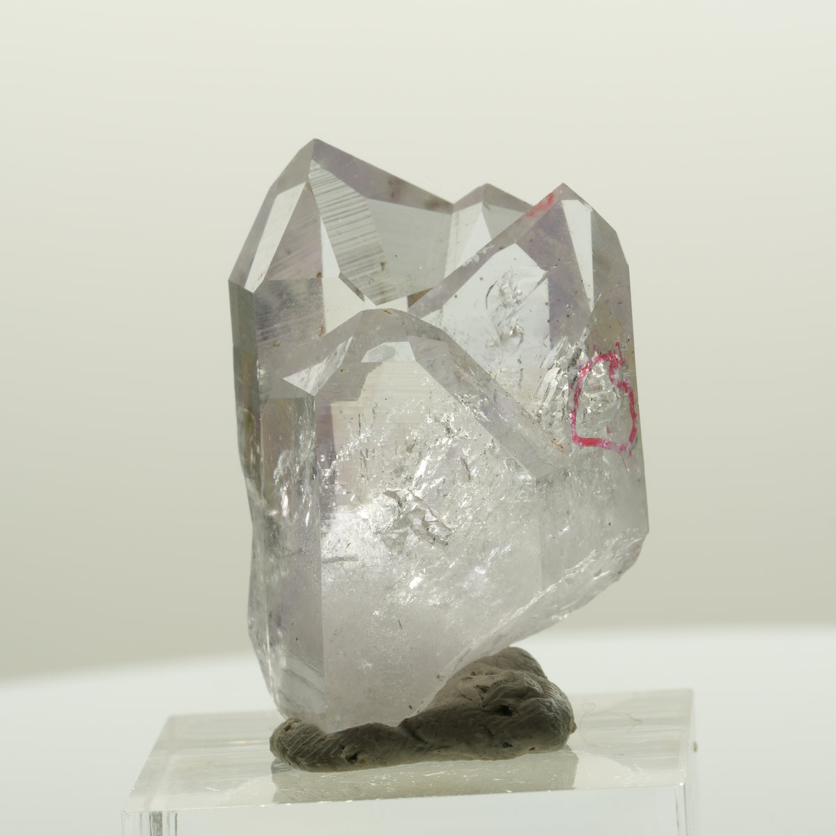 Enhydro Skelett Phantom Amethyst mit Hämatit, 1x Blase Streep Mine, Namibia 34*23*19mm #15077