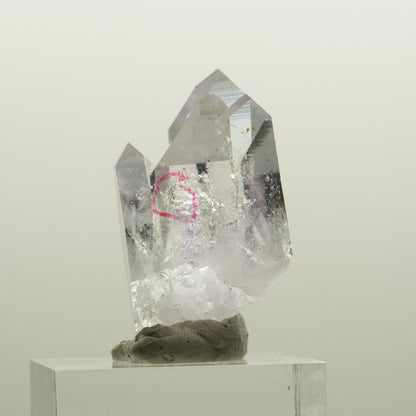 Enhydro Skelett Phantom Amethyst mit Hämatit, 1x Blase Streep Mine, Namibia 34*23*19mm #15077