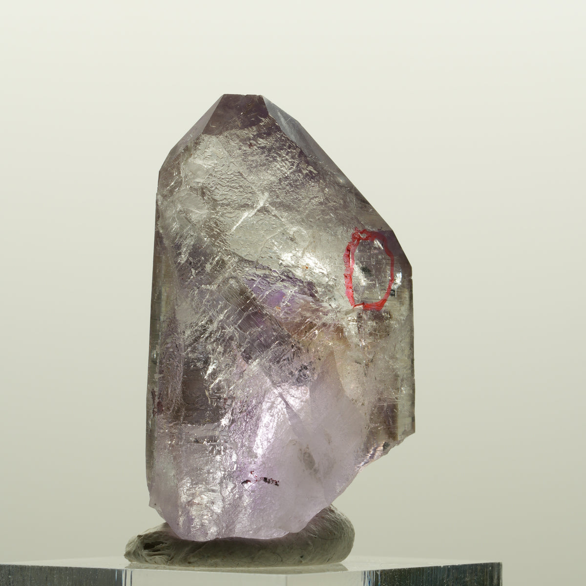 Enhydro Harlekin Lemurian Phantom Amethyst, 1x Blase Streep Mine, Namibia 37*32*23mm #15080