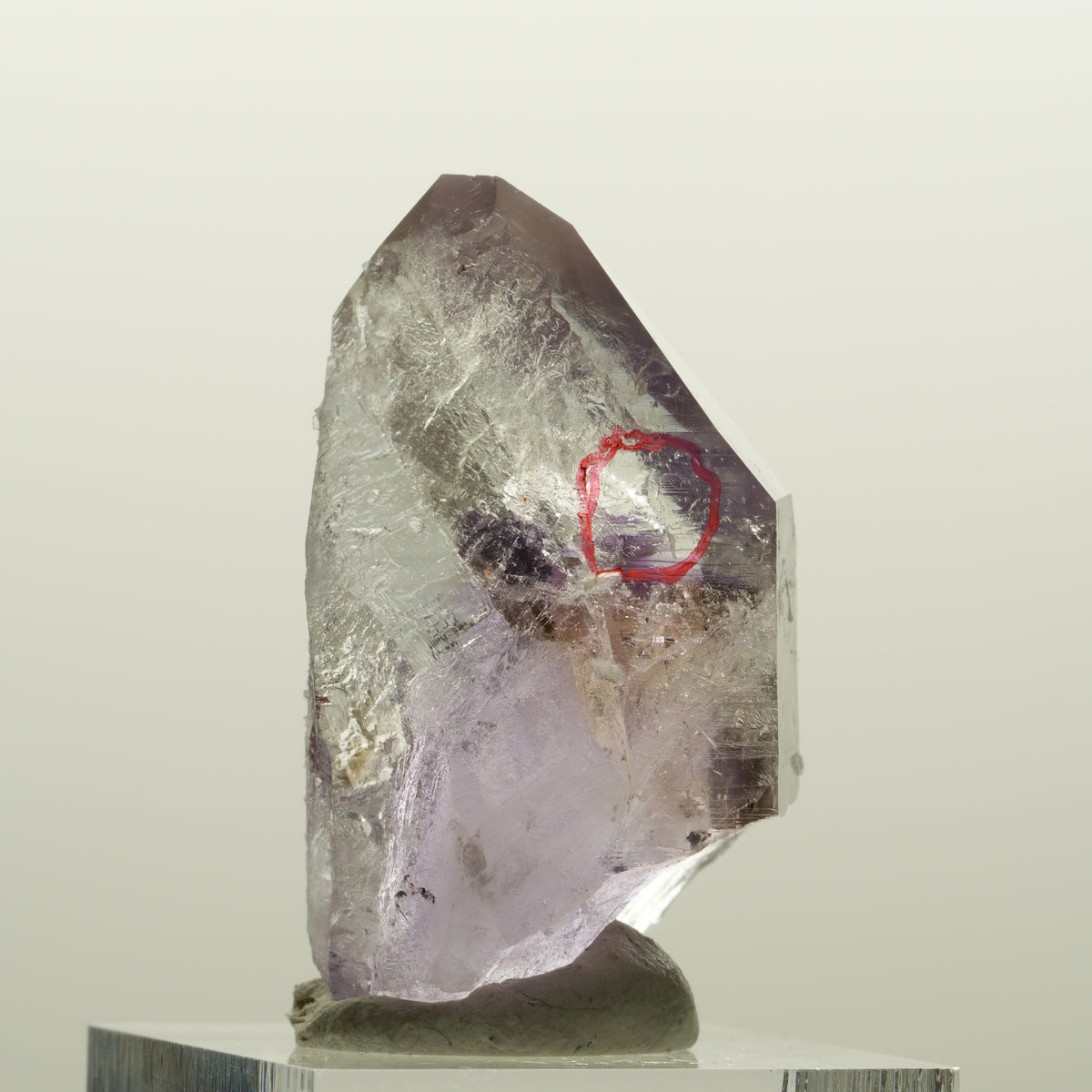 Enhydro Harlekin Lemurian Phantom Amethyst, 1x Blase Streep Mine, Namibia 37*32*23mm #15080