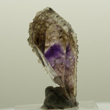 Harlekin Phantom Amethyst mit Analcim Streep Mine, Namibia 38*17*14mm #15087