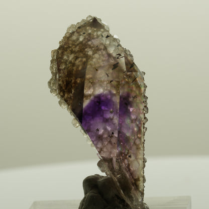 Harlekin Phantom Amethyst mit Analcim Streep Mine, Namibia 38*17*14mm #15087