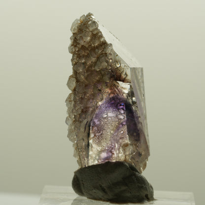 Harlekin Phantom Amethyst mit Analcim Streep Mine, Namibia 38*17*14mm #15087