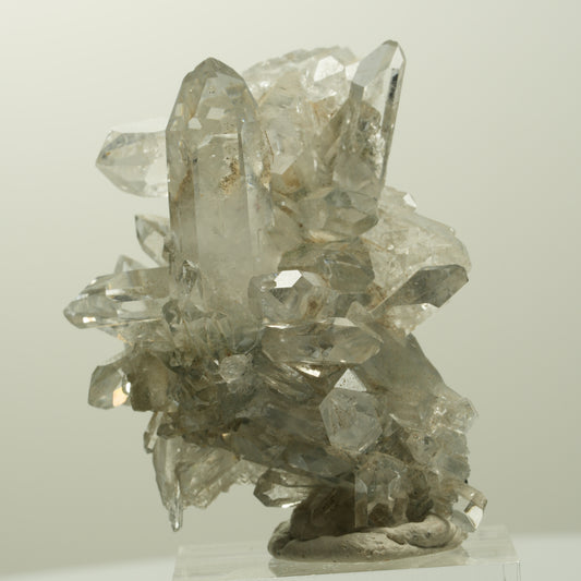 Harlekin Skelett Phantom Rauchquarz mit Epidot Stufe Streep Mine, Namibia 49*35*23mm #15093