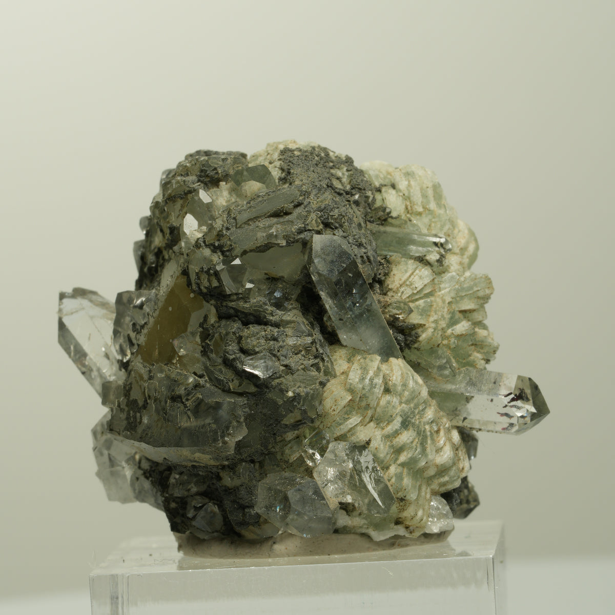Harlekin Starburst Quarz, Prehnit, Calcit, Epidot, Matrix Streep Mine, Namibia 36*35*27mm #15097