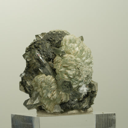 Harlekin Starburst Quarz, Prehnit, Calcit, Epidot, Matrix Streep Mine, Namibia 36*35*27mm #15097