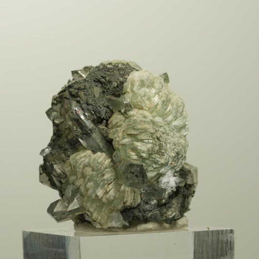 Harlekin Starburst Quarz, Prehnit, Calcit, Epidot, Matrix Streep Mine, Namibia 36*35*27mm #15097