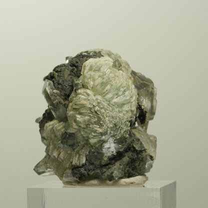 Harlekin Starburst Quarz, Prehnit, Calcit, Epidot, Matrix Streep Mine, Namibia 36*35*27mm #15097