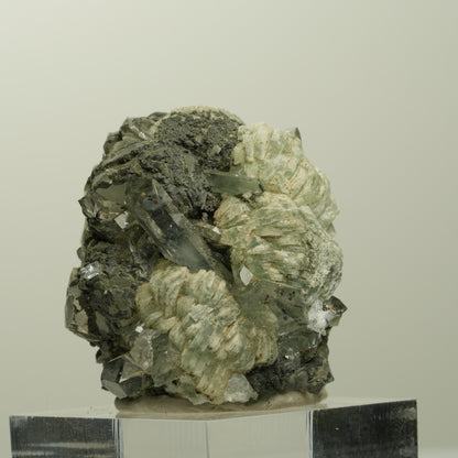 Harlekin Starburst Quarz, Prehnit, Calcit, Epidot, Matrix Streep Mine, Namibia 36*35*27mm #15097