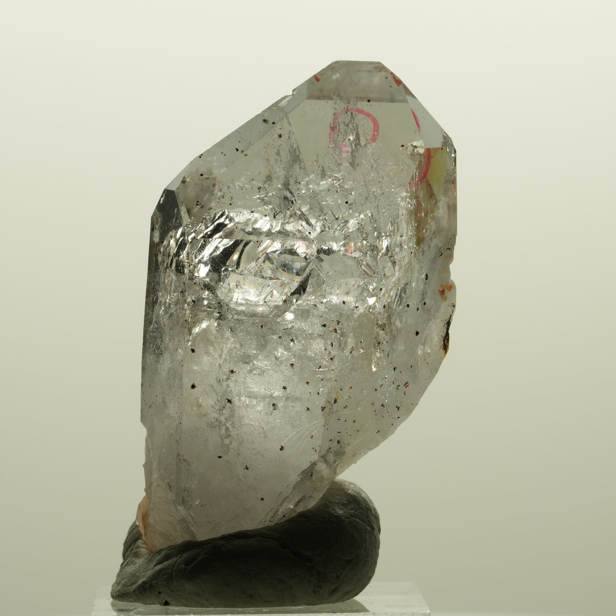 Enhydro Skelett Phantom Amethyst mit Hämatit, 1x Blase Streep Mine, Namibia 51*30*17mm #15134
