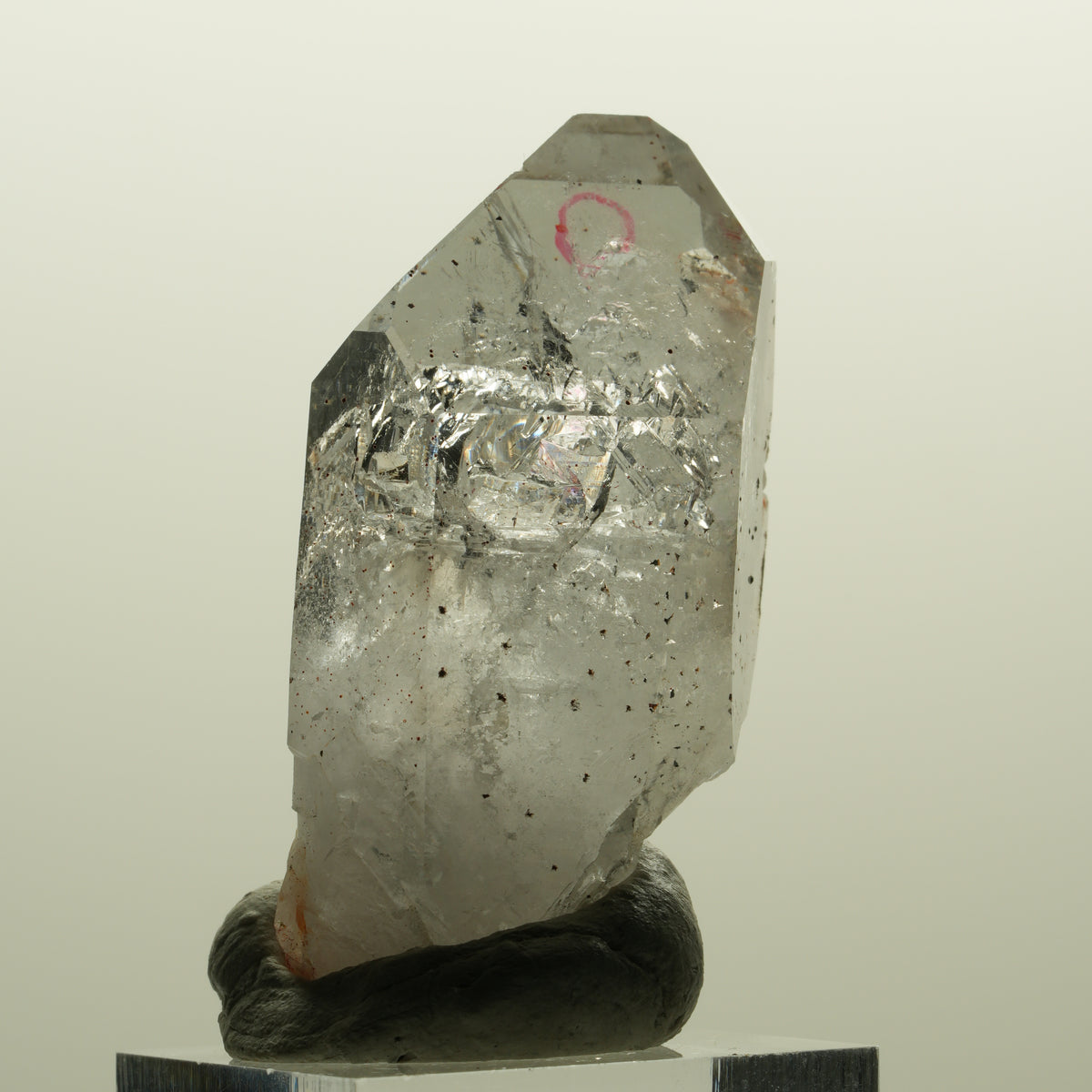 Enhydro Skelett Phantom Amethyst mit Hämatit, 1x Blase Streep Mine, Namibia 51*30*17mm #15134