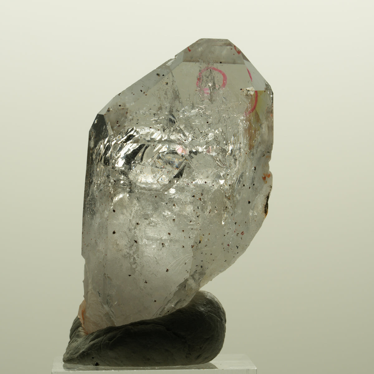 Enhydro Skelett Phantom Amethyst mit Hämatit, 1x Blase Streep Mine, Namibia 51*30*17mm #15134
