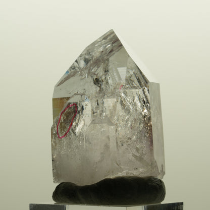 Enhydro Harlekin Lemurian Skelett Phantom Amethyst 2x Blase Streep Mine Namibia 48*32*25mm #15135