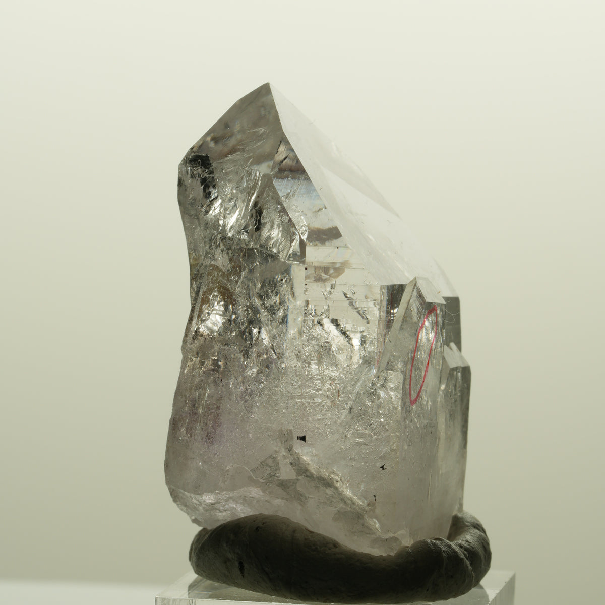 Enhydro Harlekin Lemurian Skelett Phantom Amethyst 2x Blase Streep Mine Namibia 48*32*25mm #15135