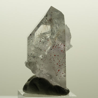 Harlekin Skelett Phantom Amethyst Spitze Streep Mine, Namibia 51*28*26mm #15136