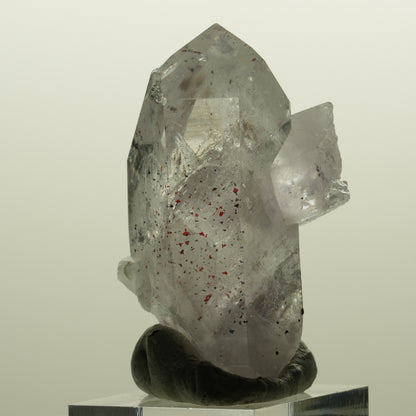 Harlekin Skelett Phantom Amethyst Spitze Streep Mine, Namibia 51*28*26mm #15136