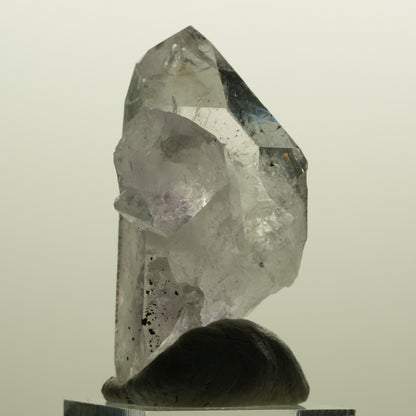 Harlekin Skelett Phantom Amethyst Spitze Streep Mine, Namibia 51*28*26mm #15136