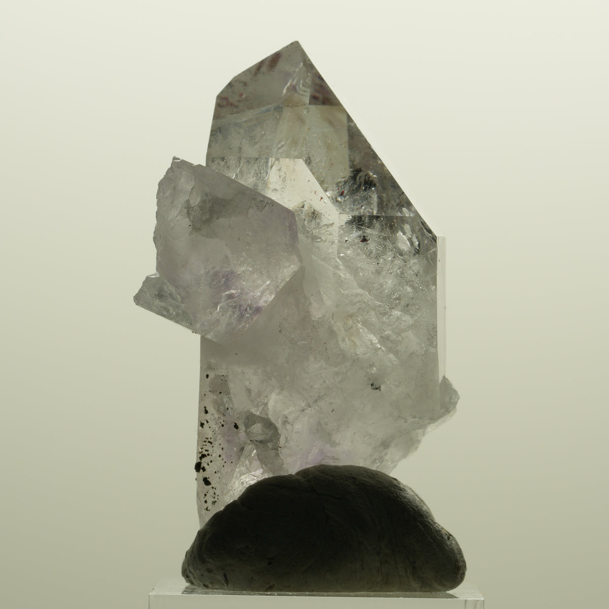 Harlekin Skelett Phantom Amethyst Spitze Streep Mine, Namibia 51*28*26mm #15136