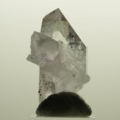 Harlekin Skelett Phantom Amethyst Spitze Streep Mine, Namibia 51*28*26mm #15136