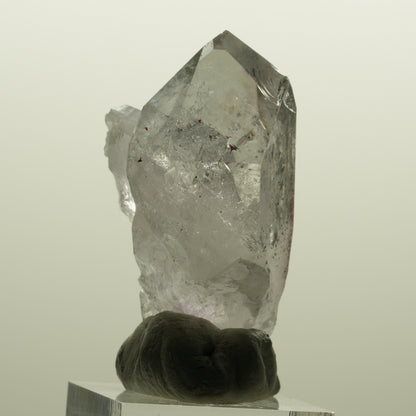 Harlekin Skelett Phantom Amethyst Spitze Streep Mine, Namibia 51*28*26mm #15136