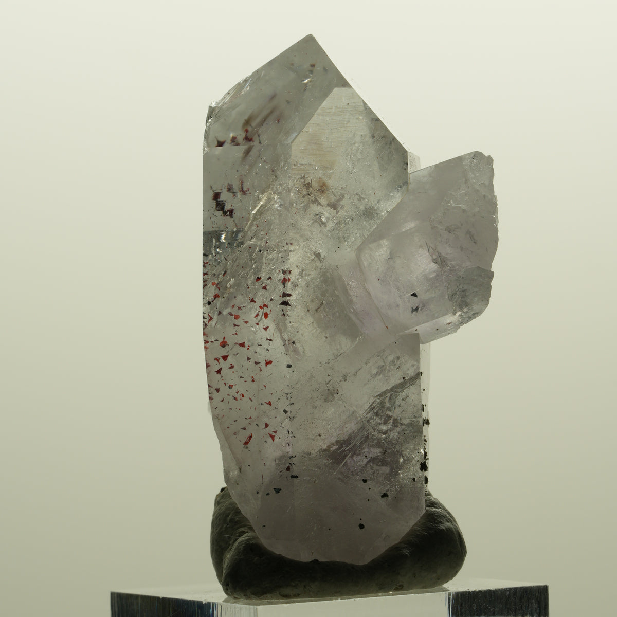 Harlekin Skelett Phantom Amethyst Spitze Streep Mine, Namibia 51*28*26mm #15136