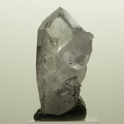Harlekin Skelett Phantom Amethyst Spitze Streep Mine, Namibia 51*28*26mm #15136