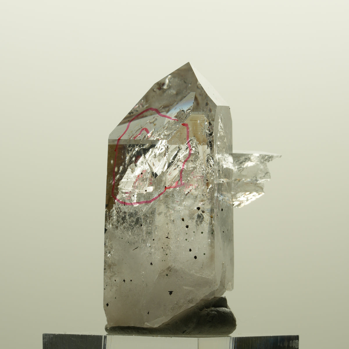 Enhydro Harlekin Phantom Rauchquarz, 2x Blase (große) Streep Mine, Namibia 43*32*23mm #15137